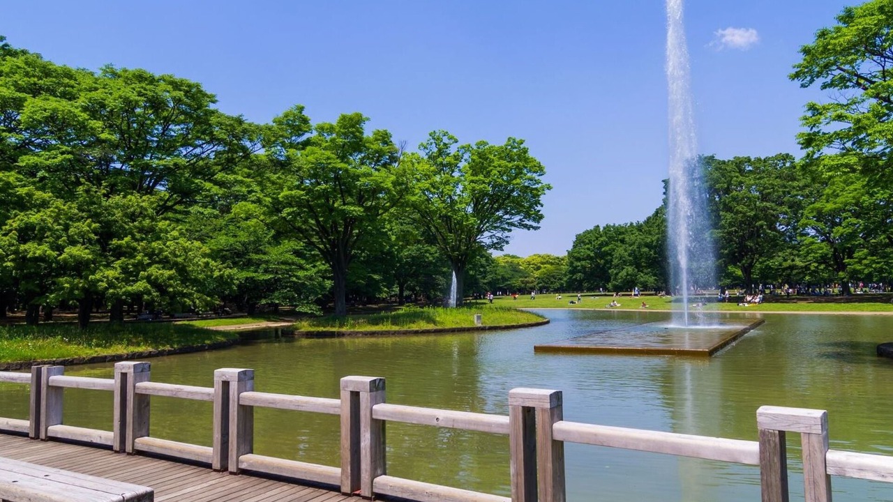 Photo of Outdoor in Chuo