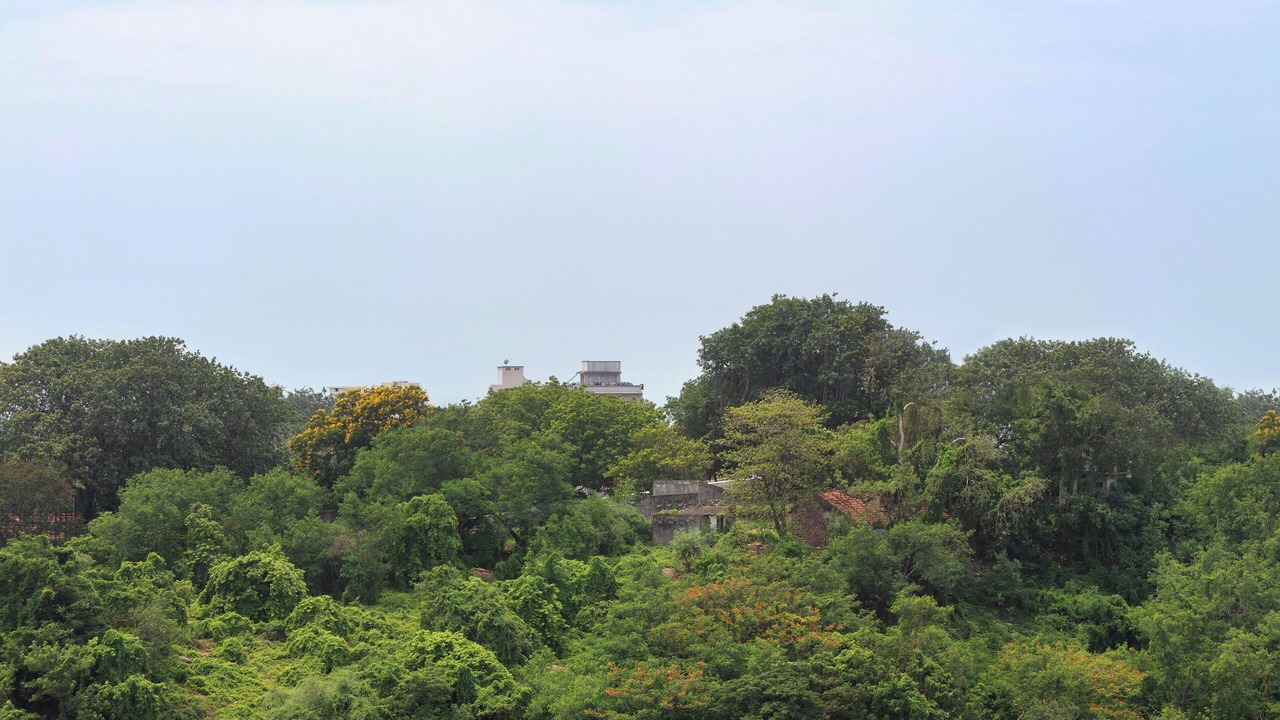 Photo of Patio Balcony in Visakhapatnam