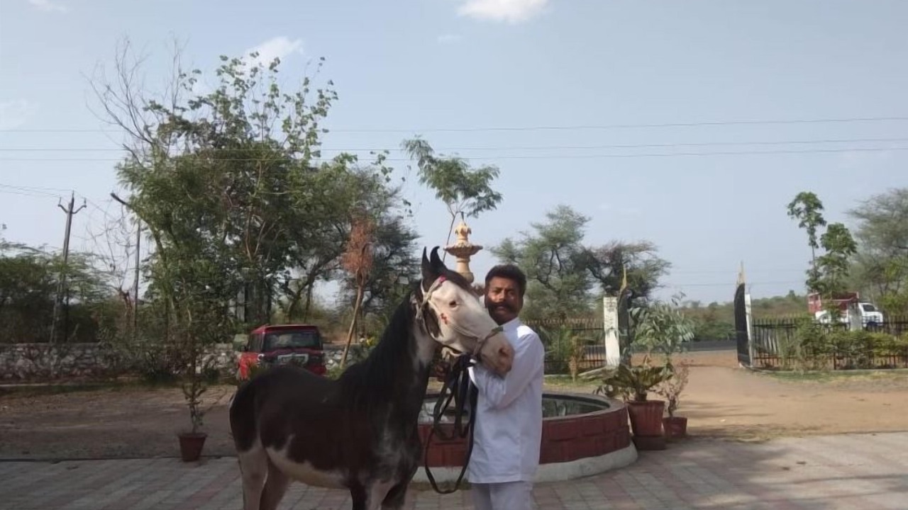 Photo of Others in Bayad
