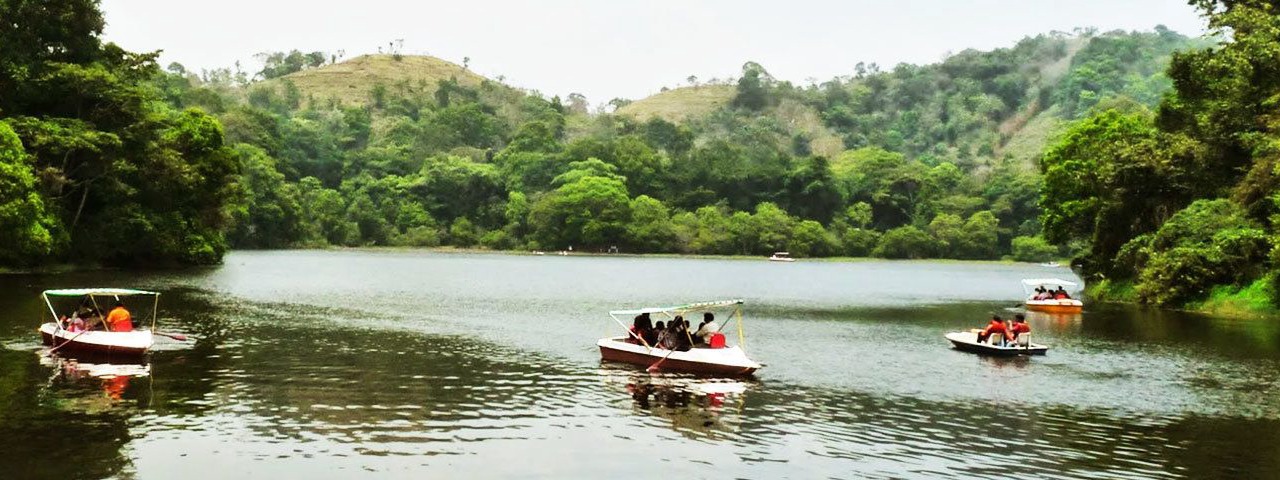 Photo of Others in Sulthan Bathery