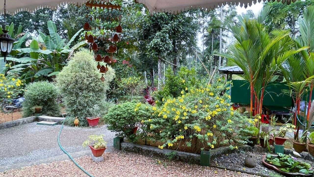 Photo of Outdoor in Arpookara