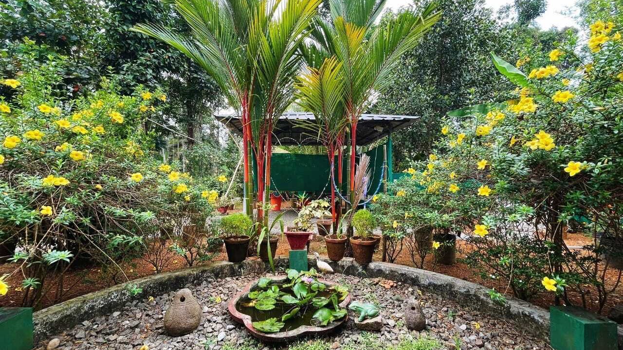 Photo of Outdoor in Arpookara