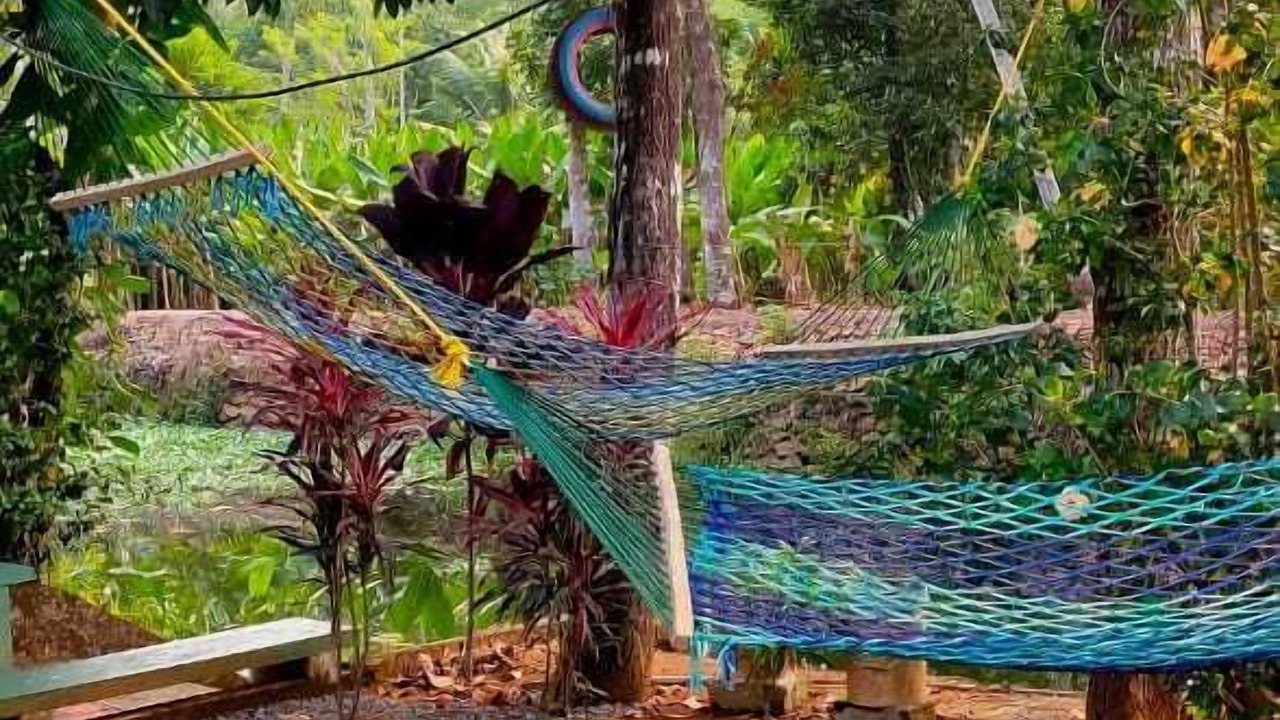 Photo of Outdoor in Arpookara