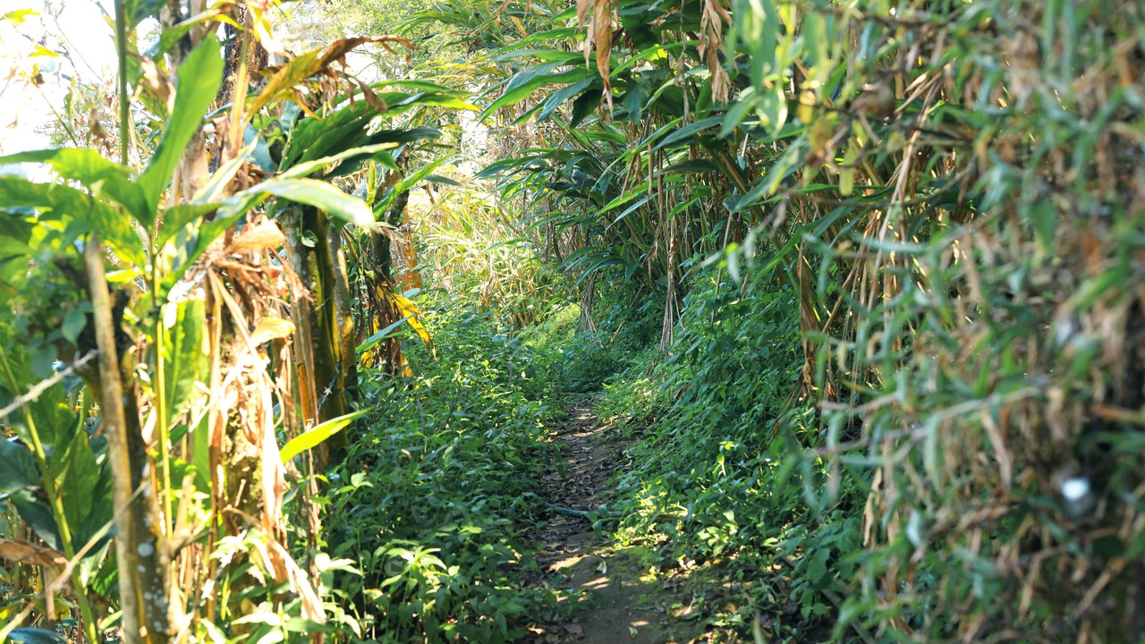 Photo of Outdoor in Chinnakanal