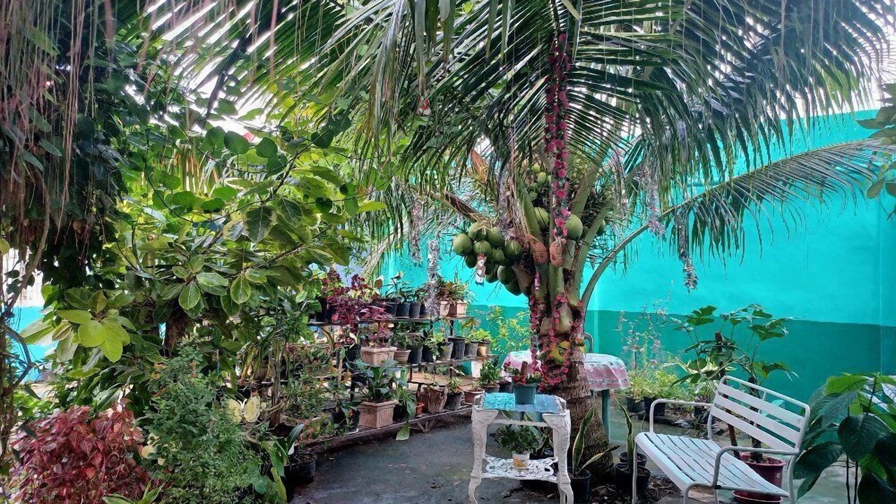 Photo of Outdoor in Roxas City