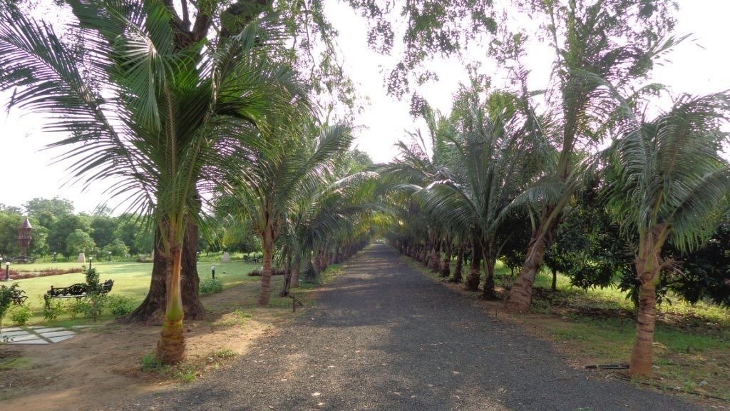 Photo of Outdoor in Khodiyar Pura