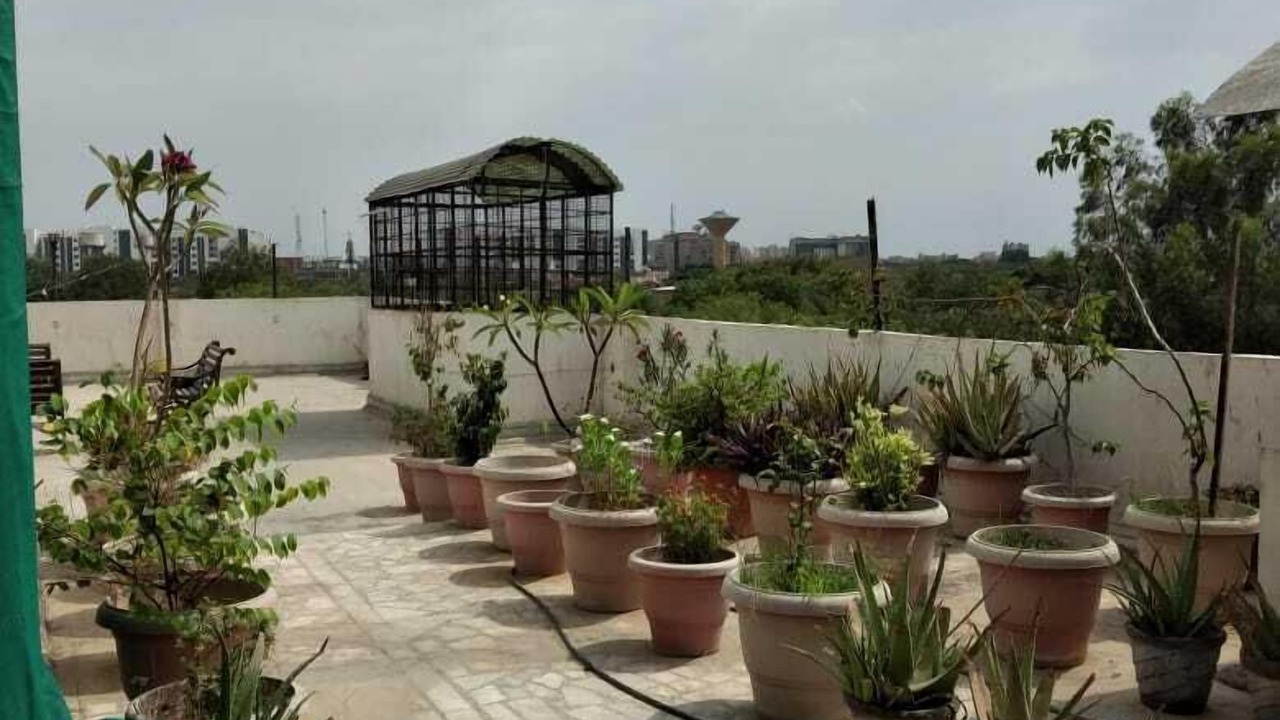 Photo of Patio Balcony in Paharganj