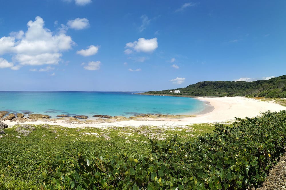 Photo of Others in Big Beach