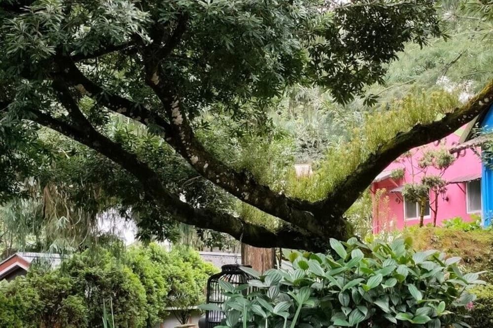 Photo of Outdoor in Xitou