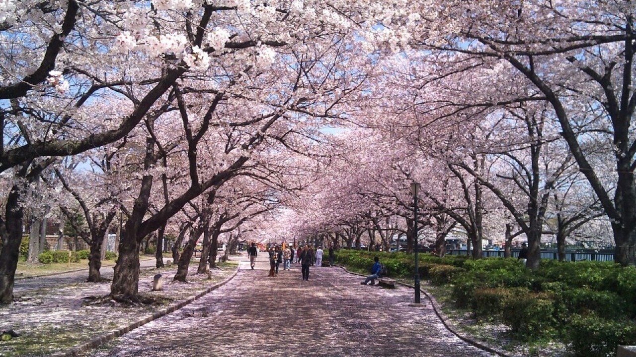 Photo of Others in Tsuruhashi
