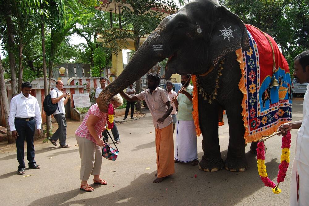 Photo of Others in Kumbakonam