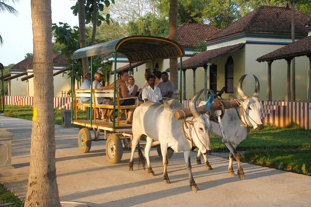 Photo of Others in Kumbakonam