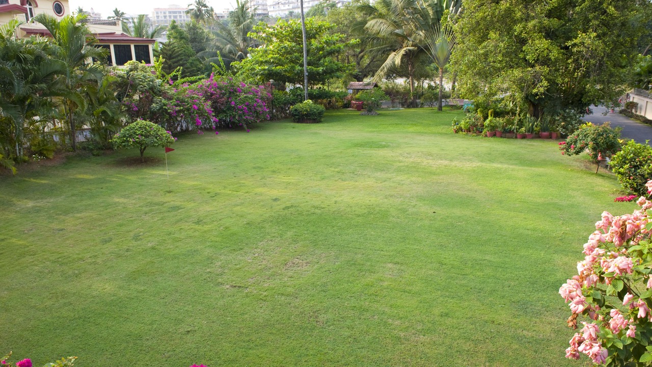 Photo of Outdoor in Dona Paula