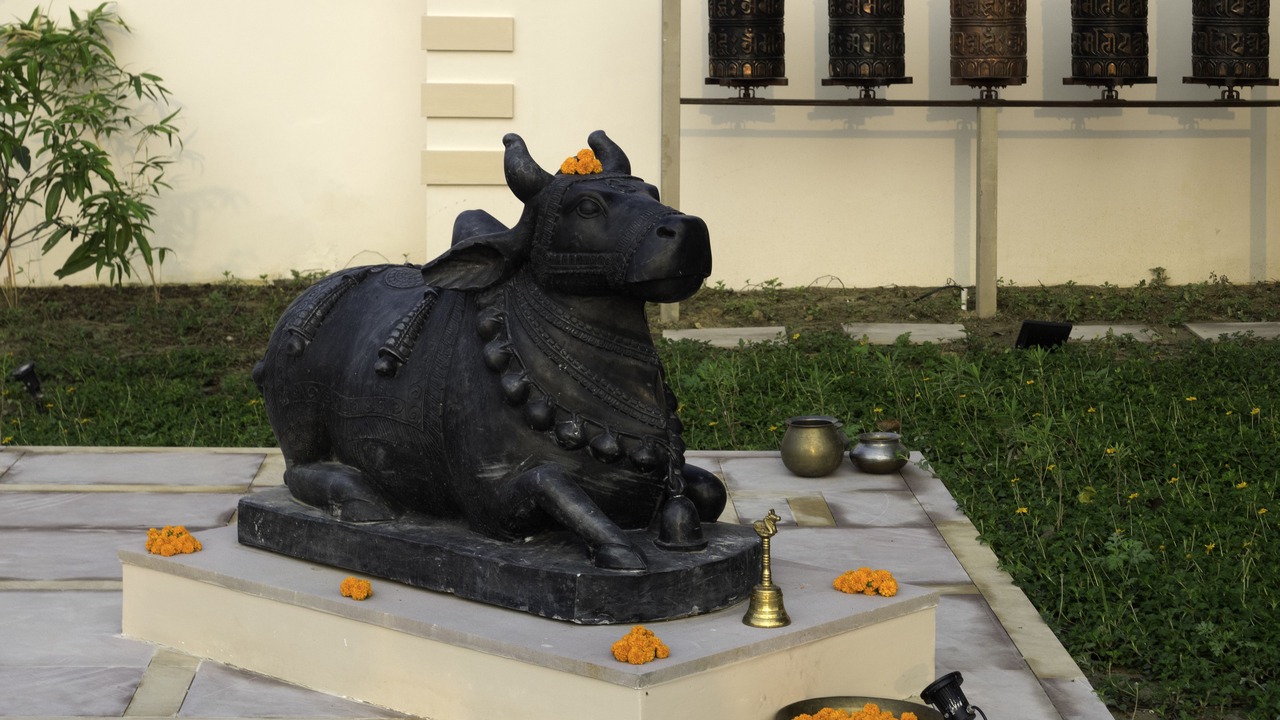 Photo of Outdoor in Sehmalpur
