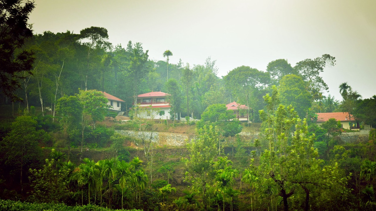 Photo of Outdoor in Vayittiri