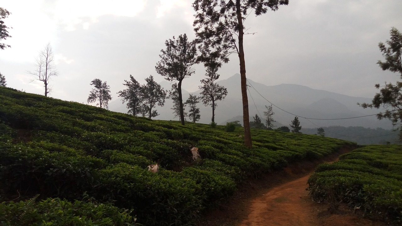 Photo of Outdoor in Vayittiri