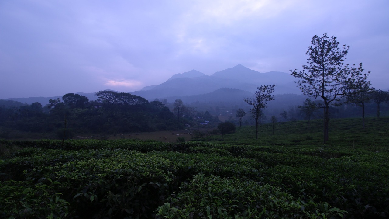 Photo of Outdoor in Vayittiri