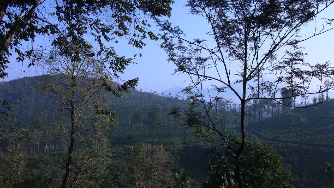 Photo of Outdoor in Vayittiri
