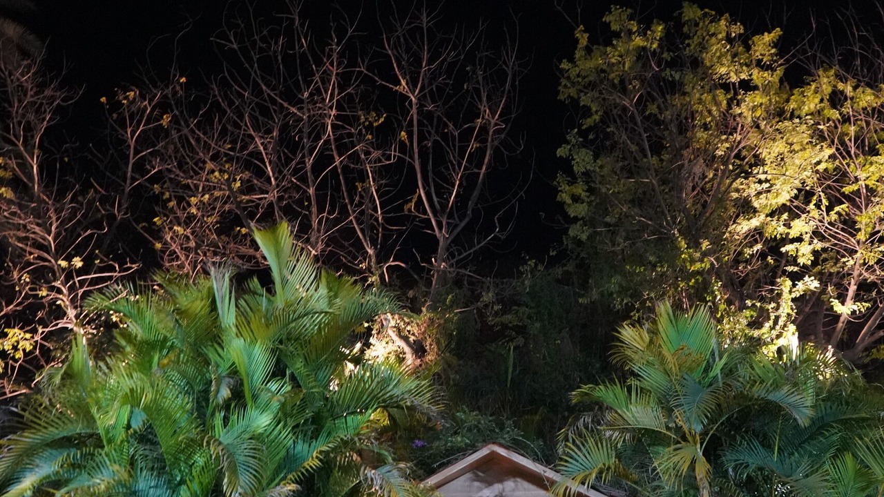 Photo of Outdoor in Mount Abu