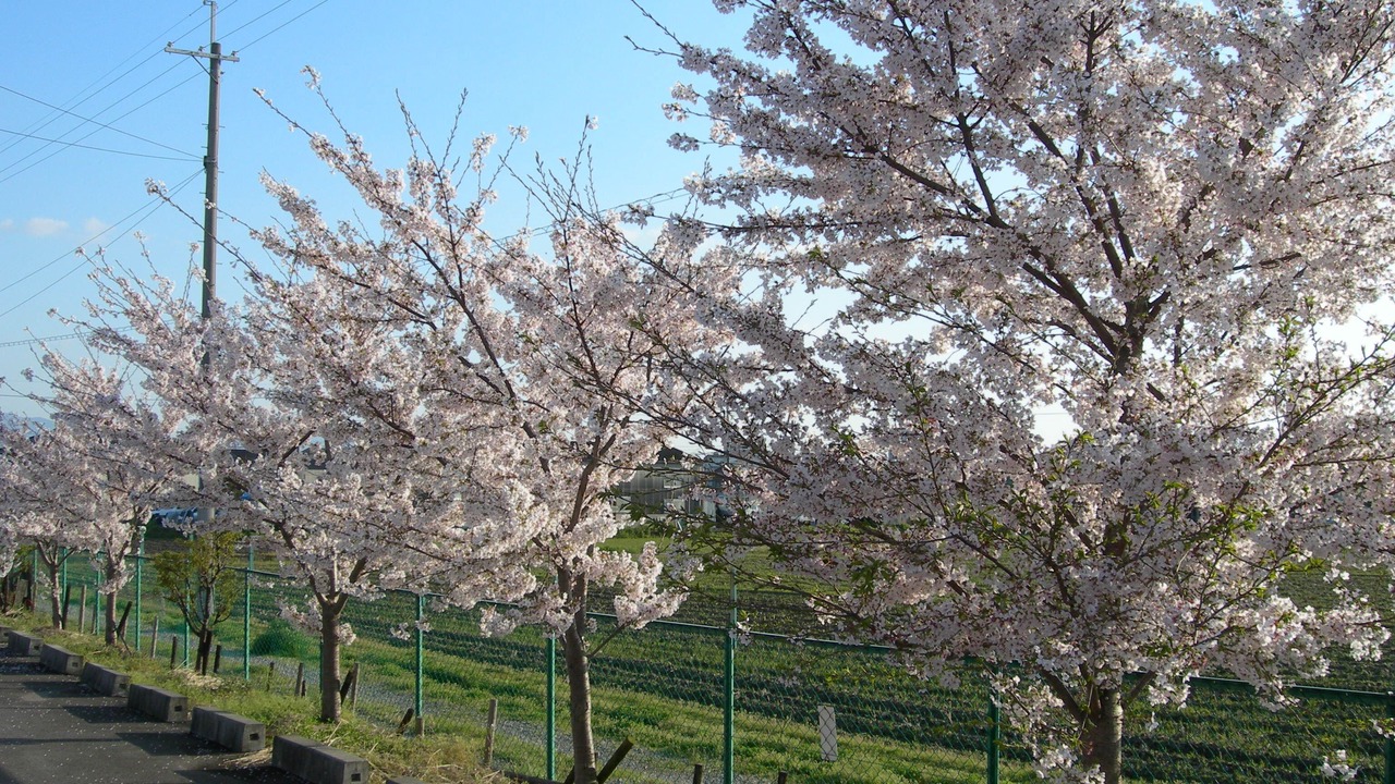 Photo of Outdoor in Minami Ward