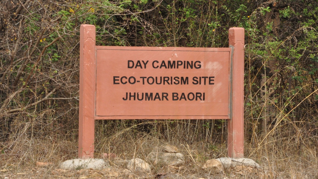 Photo of Others in Jaisamand