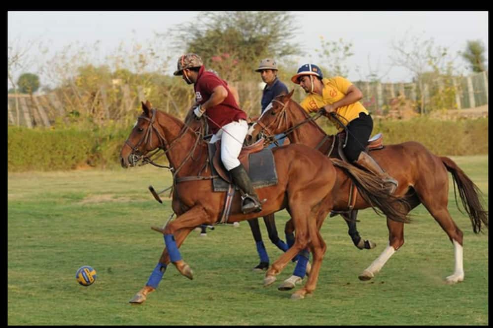 Photo of Others in Jaipur
