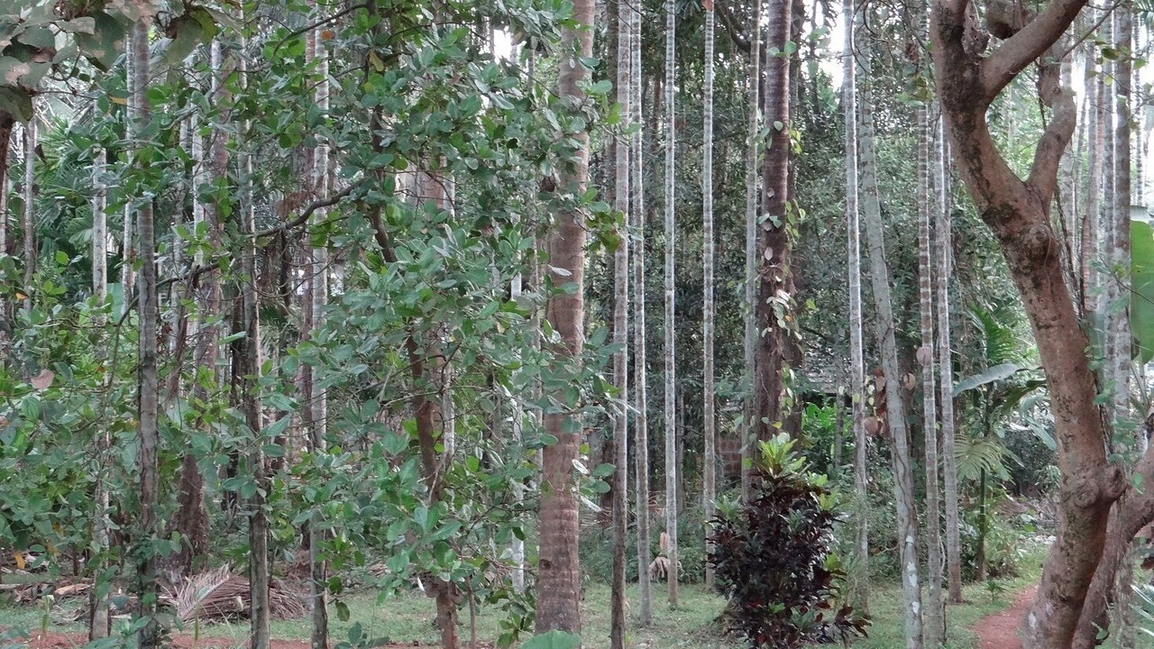 Photo of Outdoor in Cormonem