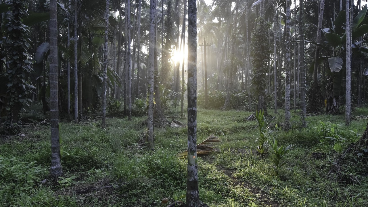 Photo of Outdoor in Cormonem