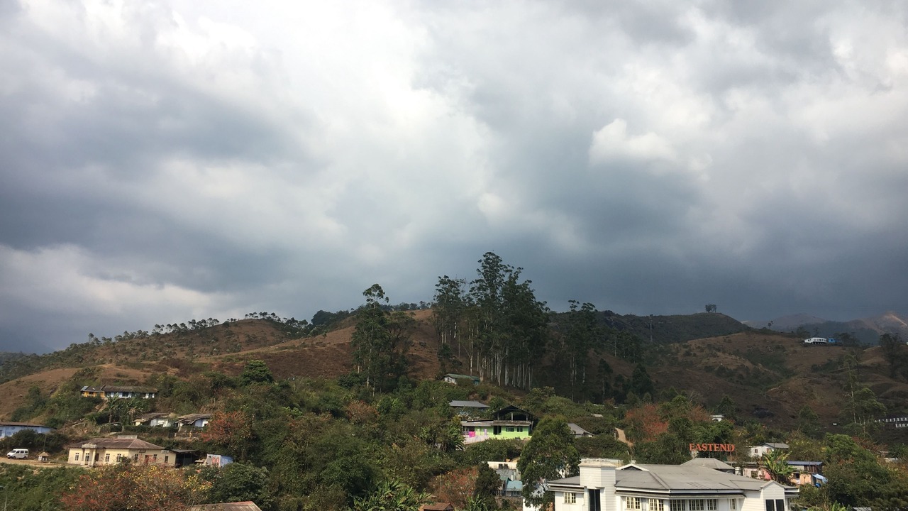 Photo of Others in Munnar