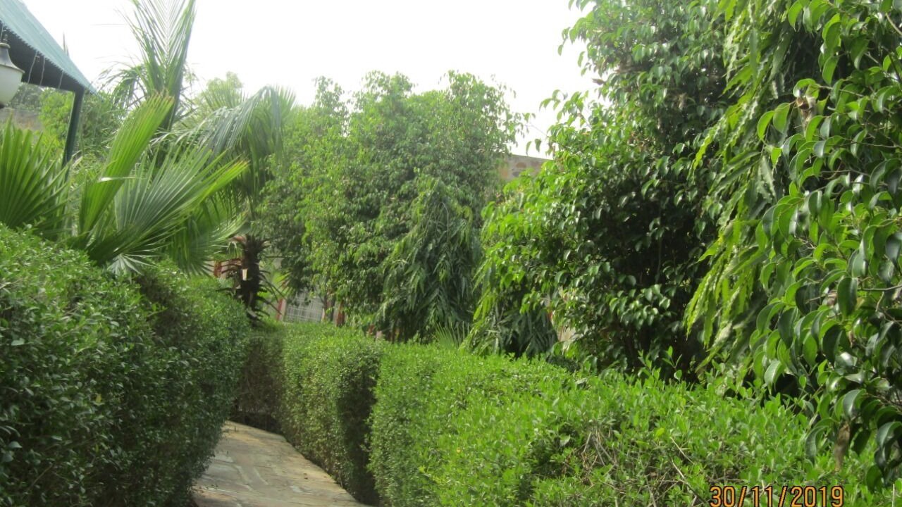 Photo of Outdoor in Talab