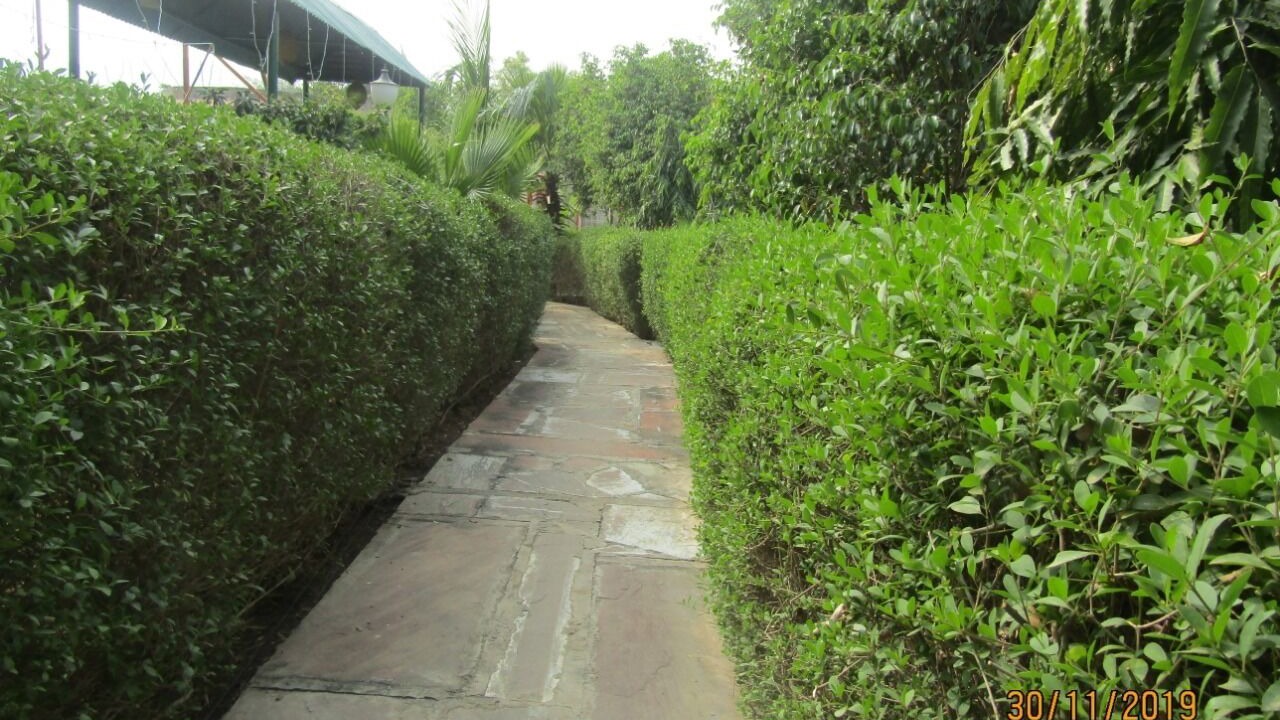 Photo of Outdoor in Talab