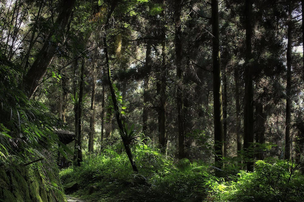 Photo of Outdoor in Zhuqi