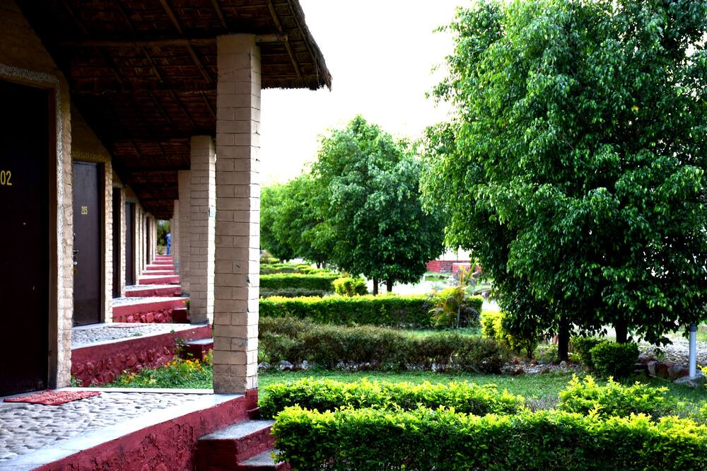 Photo of Outdoor in Bail Parao