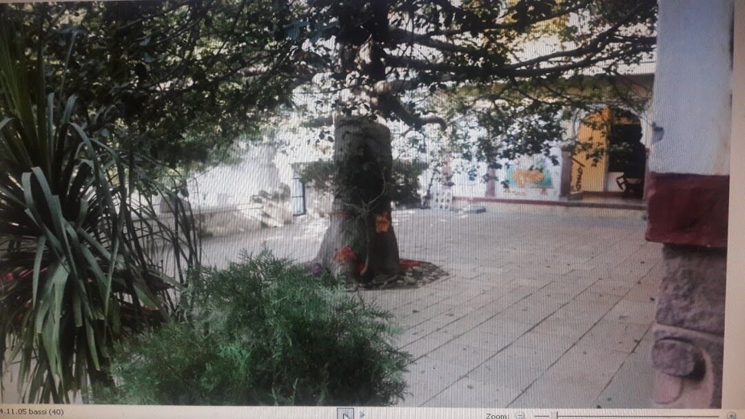 Photo of Outdoor in Bassi