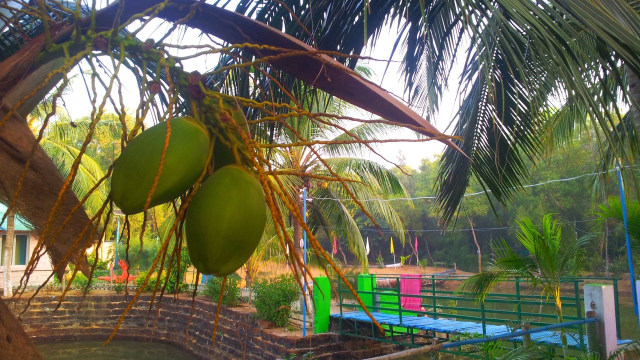 Photo of Others in Satapada