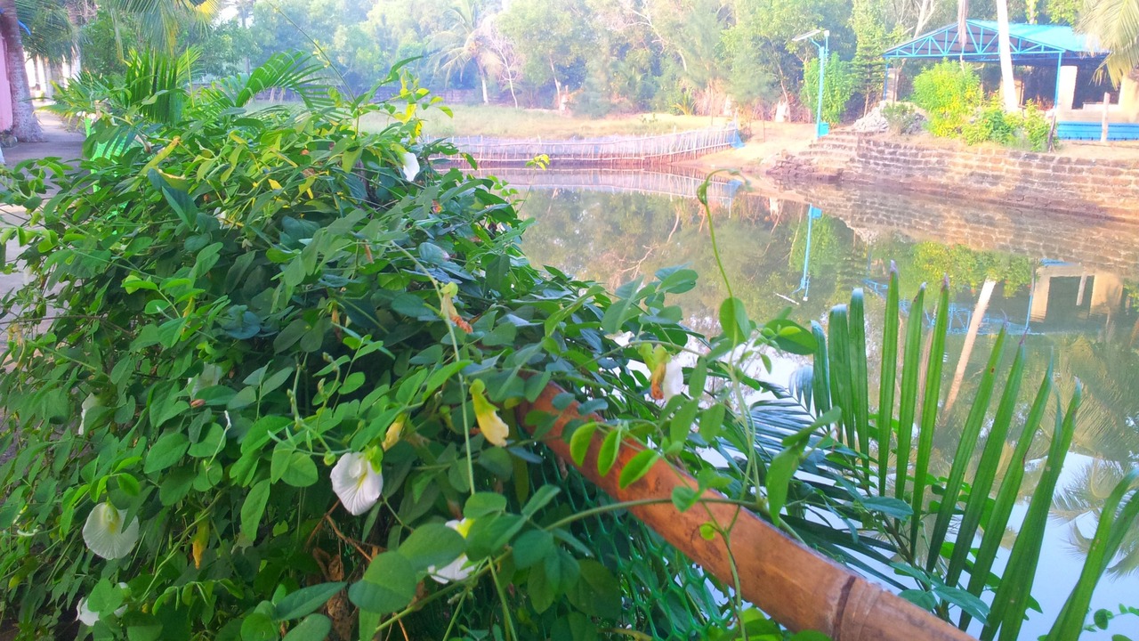 Photo of Outdoor in Satapada