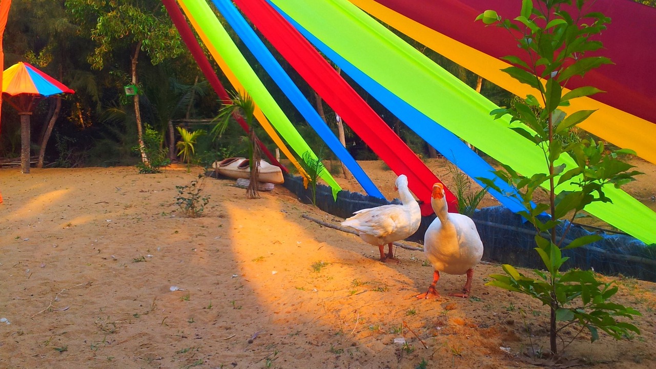 Photo of Outdoor in Satapada