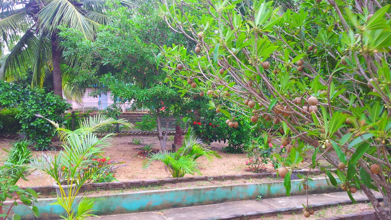 Photo of Outdoor in Satapada