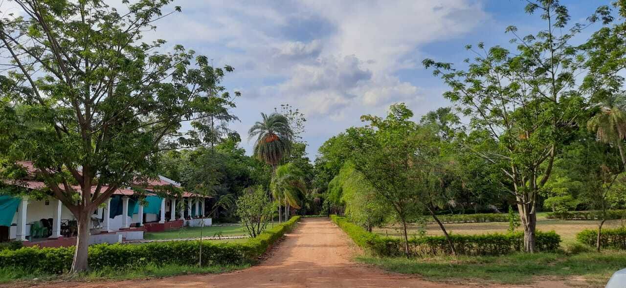 Photo of Outdoor in Kanker