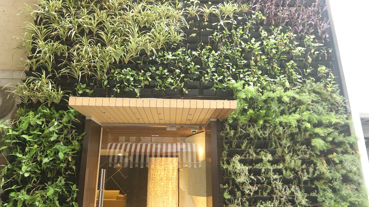 Photo of Outdoor in Maninagar