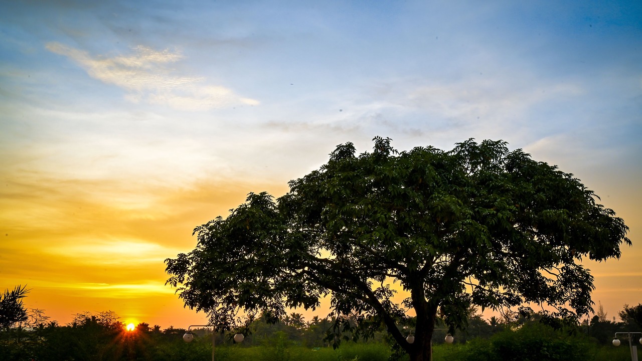Photo of Outdoor in Margao