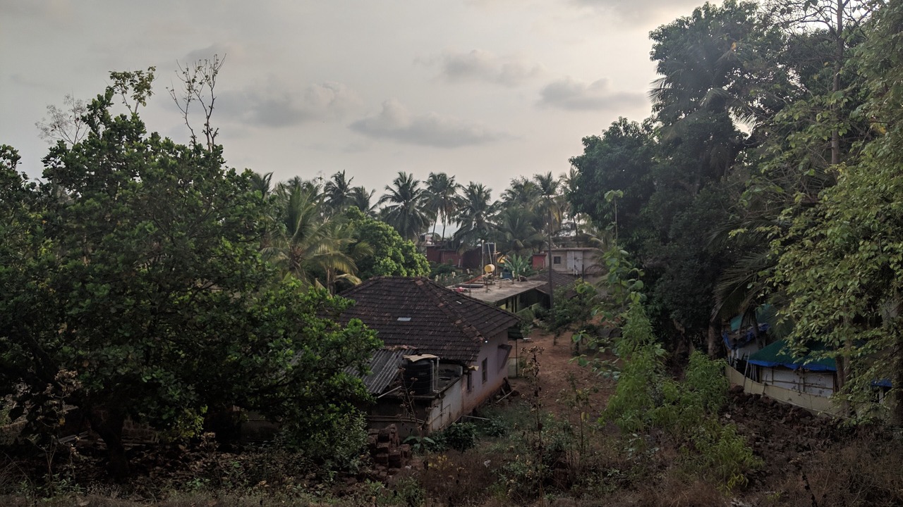 Photo of Outdoor in Agonda