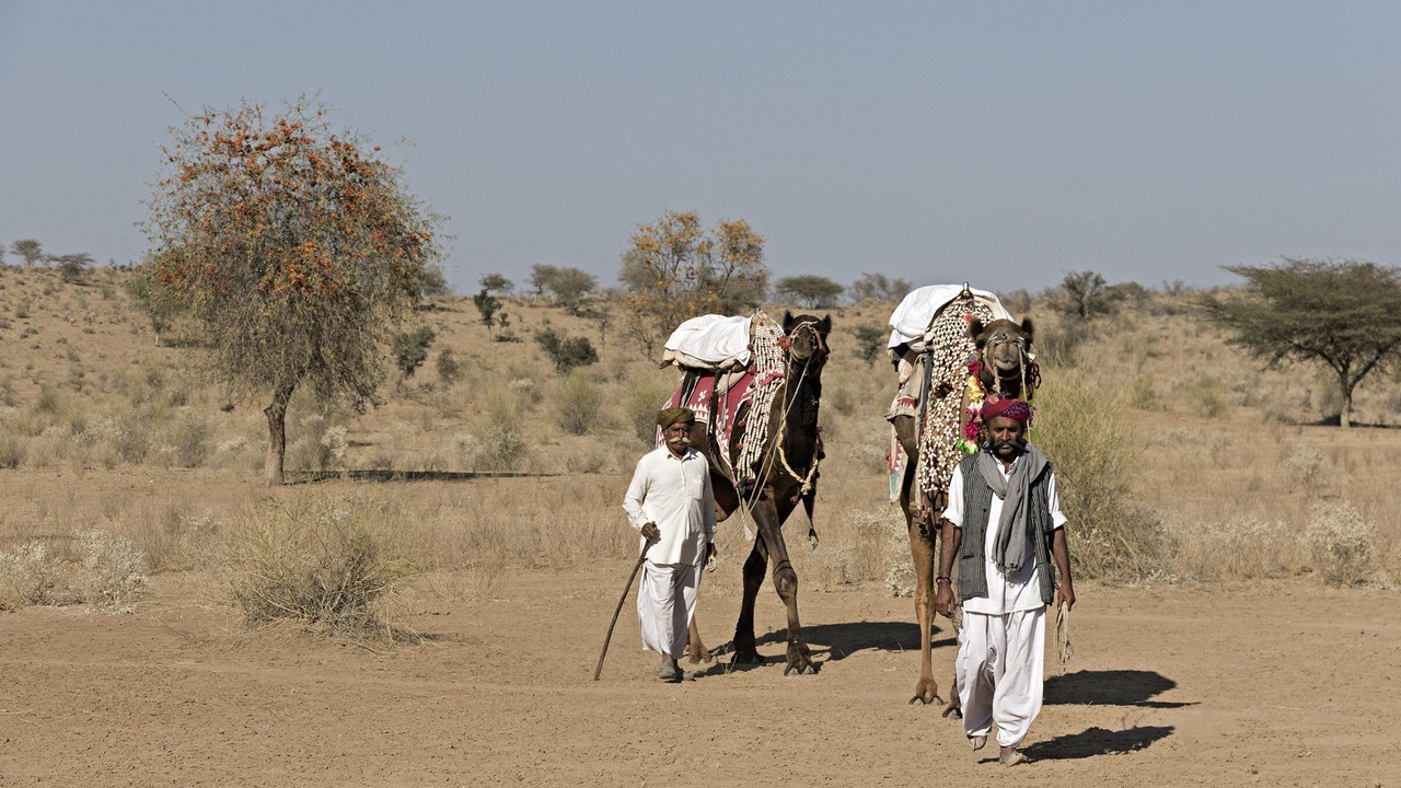 Photo of Others in Khiyansaria