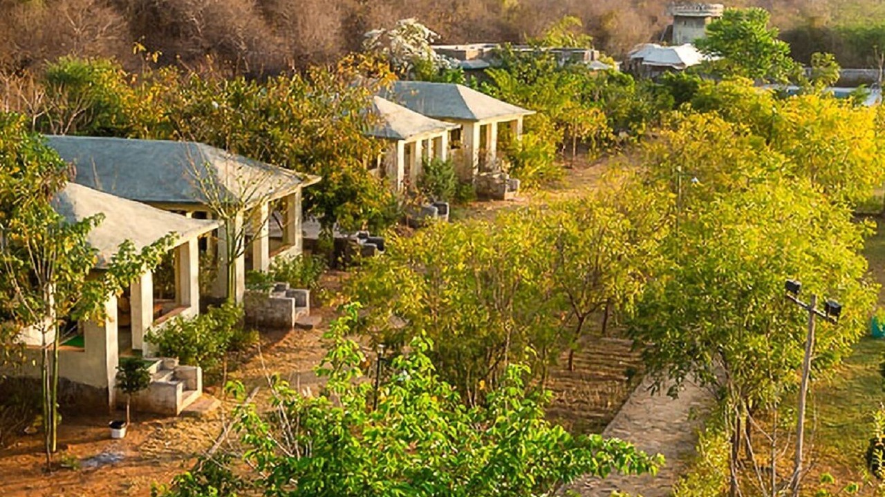 Photo of Outdoor in Sariska