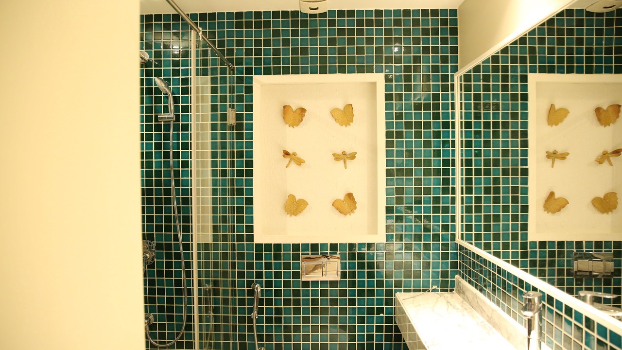 Photo of Bathroom in La Citadel Colony