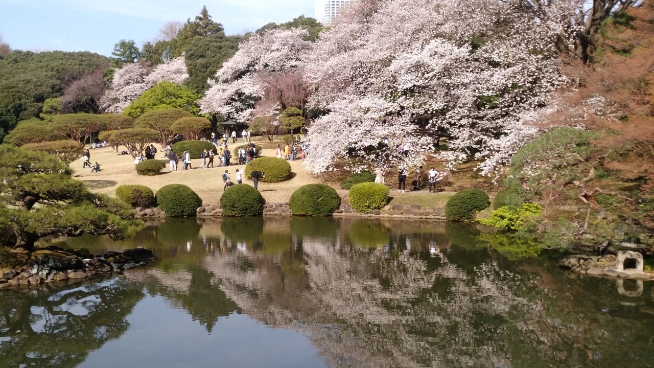 Photo of Others in Minamiotsuka