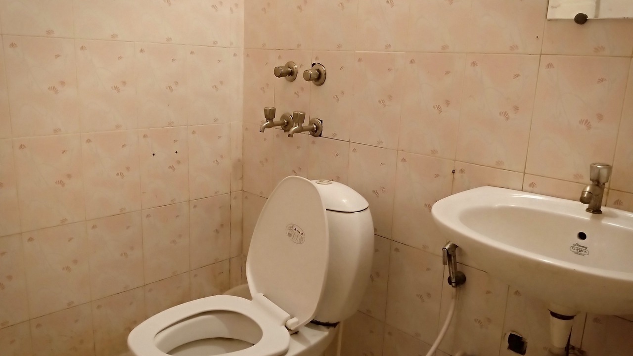 Photo of Bathroom in Sector 62