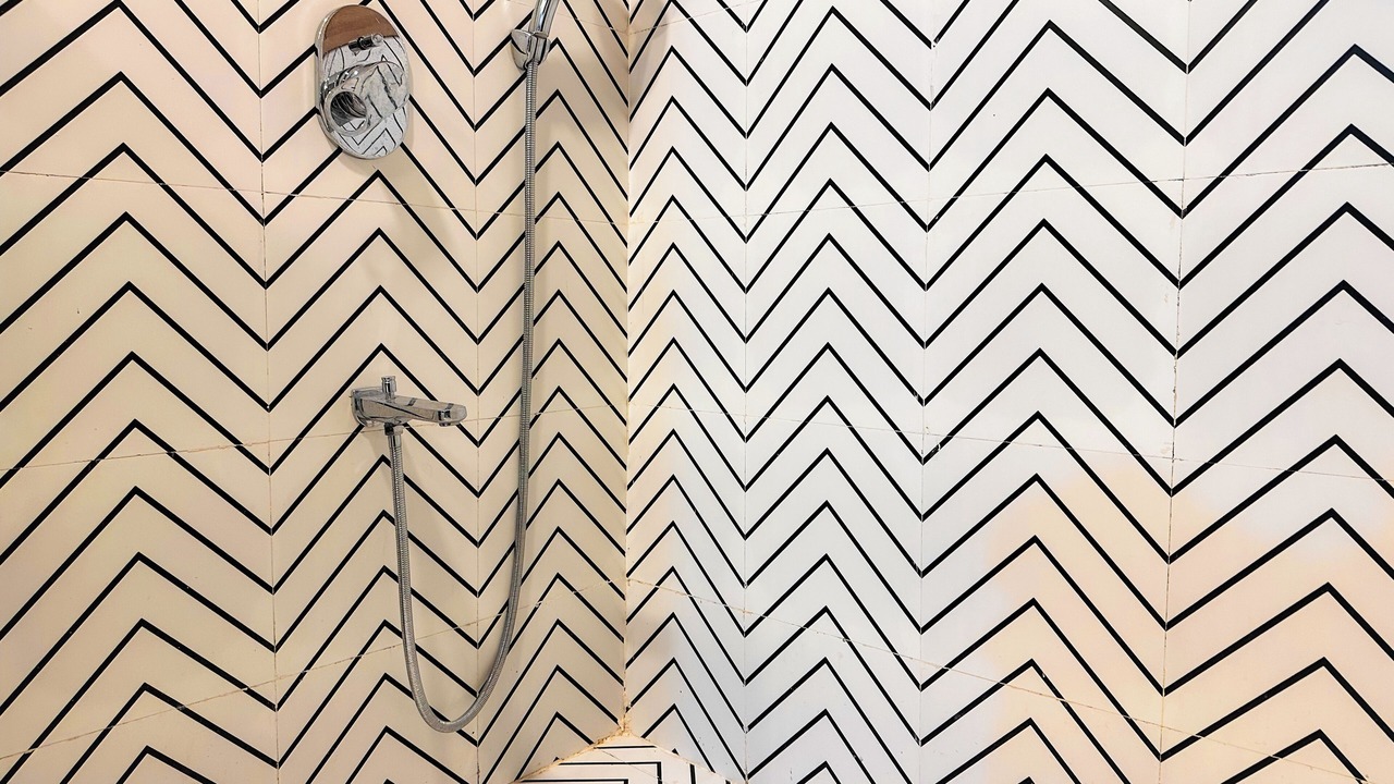 Photo of Bathroom in Bani Park