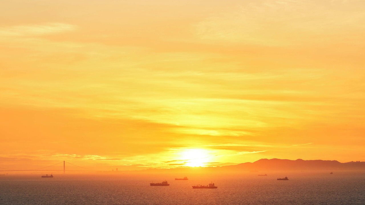 Photo of Others in Izumiotsu