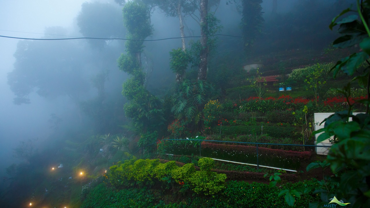 Photo of Outdoor in Moolakadai